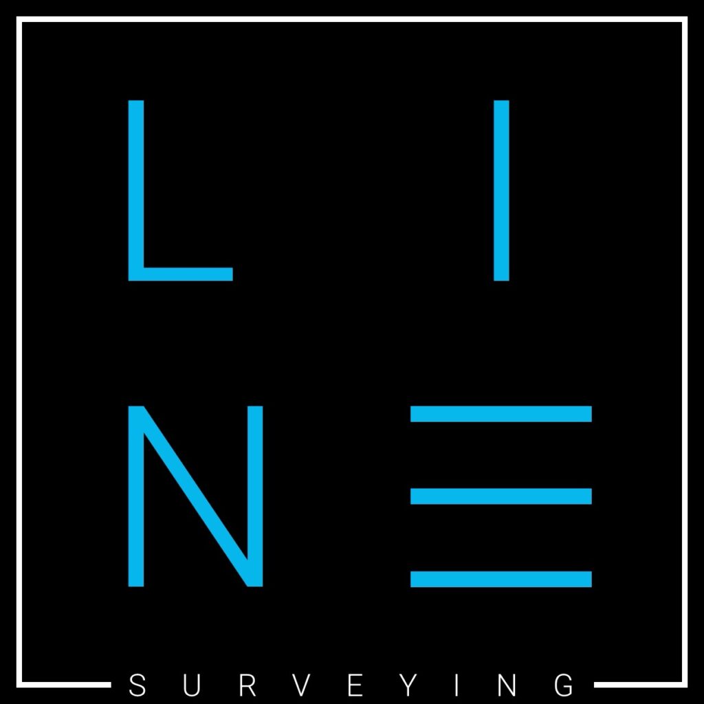 Line Surveying vertical logo in black and blue